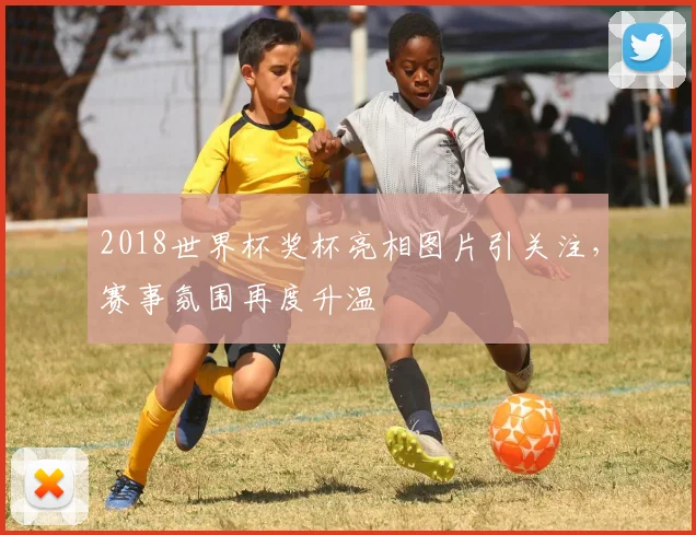 2018世界杯奖杯亮相图片引关注,赛事氛围再度升温