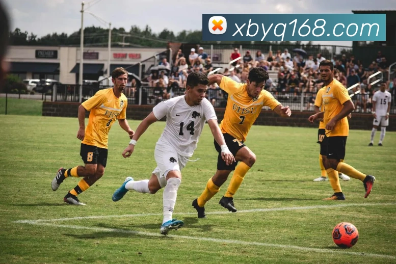 世界杯app官网品牌故事