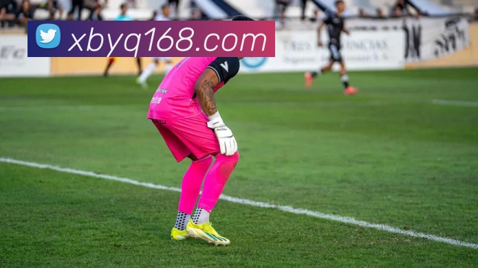 世界杯app官网服务体系